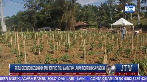 BERITA VIDEO : DUKUNG KETAHANAN PANGAN DIMASA PANDEMI COVID-19, KELOMPOK TANI MENTIROTIKU KEMBANGKAN KEBUN SAYUR