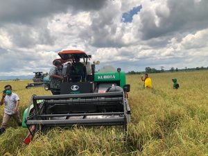 Panen Padi Meningkat, Bupati Konawe Apresiasi Inovasi Petani Desa Ahuwatu Pondidaha
