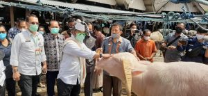 Kunker Ke Torut, Mentan Pantau Aktifitas Pasar Ternak Terbesar di Bolu