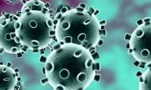 Anggota DPRD Torut Positif Covid-19, Meninggal Dunia