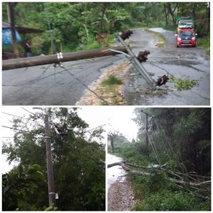 Akibat Hujan Deras, Tiang Listrik di Poros Panga’ Tumbang Ditimpa Pohon