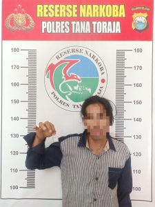 Bawa Paket Sabu, Tim Res Narkoba Polres Tana Toraja Meringkus Penumpang Truk Batu Merah