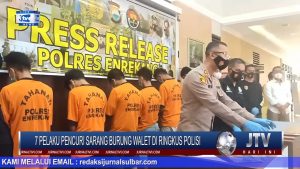 BERITA VIDEO : POLISI RINGKUS 7 PELAKU PENCURIAN SARANG BURUNG WALET, 1 DIANTARANYA DIBAWAH UMUR