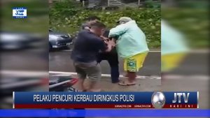 BERITA VIDEO : DUA PELAKU PENCURIAN KERBAU DENGAN CARA MUTILASI DI TORAJA UTARA, DIRINGKUS POLISI