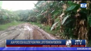 BERITA VIDEO : JALAN POROS DESA SALULE’BO’ DI MAMUJU TENGAH RUSAK PARAH, LUPUT PERHATIAN PEMERINTAH