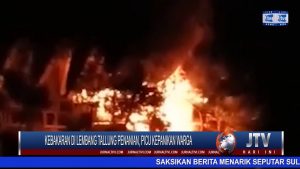 BERITA VIDEO : KEBAKARAN DI LEMBANG TALLUNG PENANIAN, PICU KEPANIKAN WARGA