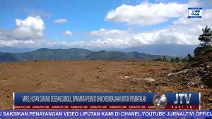 BERITA VIDEO : MIRIS, GUNUNG SESEAN GUNDUL, BPN MINTA PEMILIK SHM DIKEMBALIKAN UNTUK PEMBATALAN