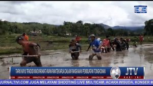 Seru..! Tarik Kayu, Tradisi Masyarakat Awan Rantekarua Dalam Rangkaian Pembuatan Tongkonan