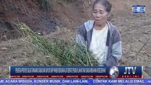 BERITA VIDEO : PEKERJA PROYEK GILAS TANAMAN CABAI DAN SAYUR SIAP PANEN DENGAN ALAT BERAT, PEMILIK LAHAN TAK KUASA MENAHAN KESEDEHIAN