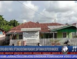 Berita Video : Antisipasi Abrasi Pantai, UPT Dinas Kehutanan Pasangkayu, Siap Tanam 40.000 Pohon Mangrove