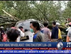 Berita Video : Pohon Tumbang Timpa Mobil Angkot, 1 Orang Tewas Ditempat 3 Luka