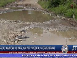 Berita Video : Pasca di Tanami Pisang Oleh Warga, Kadis PUPR : Poros Batualu Sudah Diusulkan Untuk Dikerjakan
