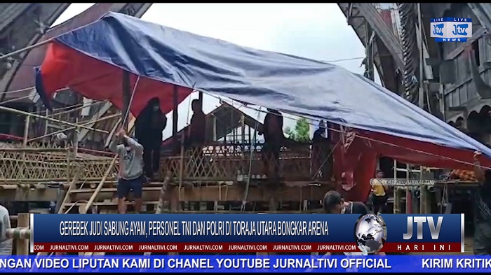 Berita Video : Gerebek Judi Ayam, Personel TNI dan Polri di Toraja Utara Bongkar Arena Sabung