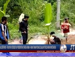 Berita Video : Kesal Jalan Tak Kunjung Diperbaiki Pemerintah, Warga Akhirnya Tanam Pisang Dijalur Poros Awan Rantekarua