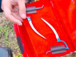 Gerebek Arena Sabung Ayam, Polisi Hanya Temukan Barang Bukti