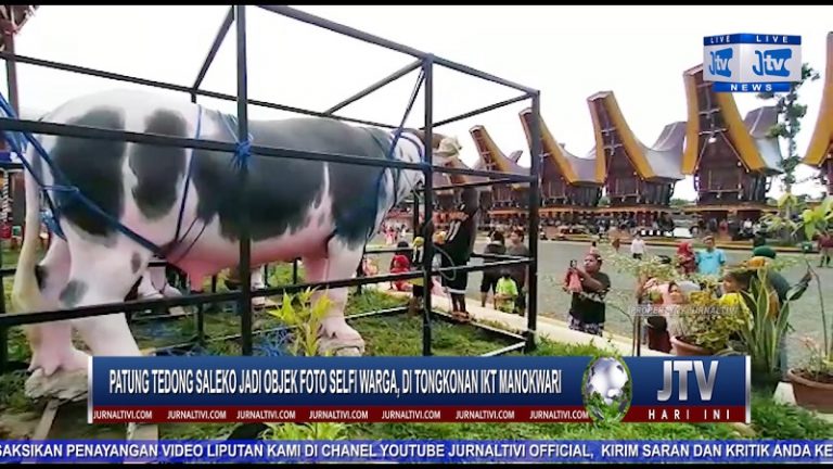 Berita Video : Patung Tedong Saleko Jadi Objek Foto Selfi Warga, di Tongkonan IKT Manokwari