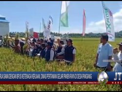 Berita Video : Kerja Sama Dengan BPJS Ketenaga Kerjaan, Dinas Pertanian Pasangkayu Gelar Panen Raya di Desa Pangiang