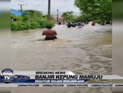 Breaking News : Video : Diguyur Hujan Lebat, Mamuju di Kepung Banjir, Warga Panik