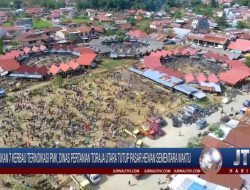Berita Video : Temukan 7 Kerbau Terindikasi PMK, Dinas Pertanian Toraja Utara Tutup Pasar Hewan Sementara Waktu