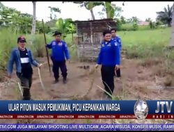 Berita Video : Ular Piton Masuk Pemukiman, Picu Kepanikan Warga