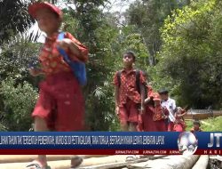Berita Video : Puluhan Tahun Tak Tersentuh Pemerintah, Murid SD di Pettingaloan Tana Toraja, Bertaruh Nyawa Lewati Jembatan Lapuk