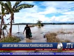 Berita Video : Lahan Sawit dan Tambak Terendam Banjir, Petani Merugi Hingga Ratusan Juta