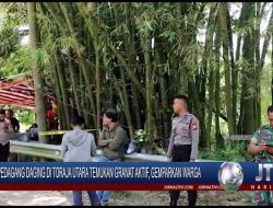 Berita Video : Pedagang Daging di Toraja Utara Temukan Granat Aktif, Gemparkan Warga
