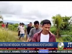 Berita Video : Ikan Terus Mati Mendadak, Petani Tambak Mengadu Kepada Ketua Komisi I