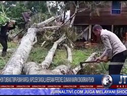 Berita Video : Pohon Tumbang Timpa Rumah Warga, Kapolsek Sangalla Bersama Personel Gunakan Kampak Singkirkan Pohon