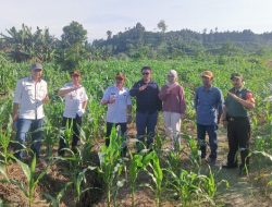 Dampingi Direktur PPHTP, Asisten I Pemkab Pasangkayu Serahkan Bantuan Alat Pertanian Kepada Warga di Dusun Nirannuang