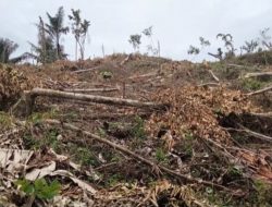 Warga Serobot Hutan Konservasi, KPH Pasangkayu, Kalau Terbukti Bisa Kena Pidana