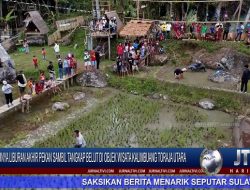 Berita Video : Serunya Liburan Akhir Pekan Sambil Tangkap Belut di Objek Wisata Kalimbuang Toraja Utara