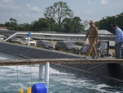 Kunjungi Tambang Udang di Randomayang, Gubernur Sulbar Zuhdan Arif Fakhrulloh : Tambak Lestari, Canggih dan Menyerap Tenaga Kerja