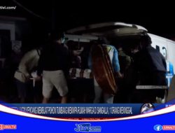 Berita Video : Hujan Deras Disertai Angin Kencang Membuat Pohon Tumbang dan Menimpa Rumah Warga di Sangalla, 1 Orang Meninggal