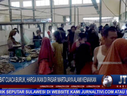 Berita Video : Dampak Cuaca Buruk, Harga Ikan di Pasar Martajaya Alami Kenaikan