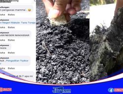 Berita Video : Aspal Bisa Diangkat Dengan Tangan, Proyek Jalan Poros Batukianak – To’yasa, Toraja Utara, Disorot Warga, Viral di Media Sosial