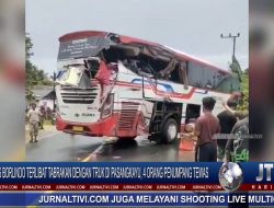 Berita Video : Bus Borlindo Terlibat Tabrakan Dengan Truk di Pasangkayu, 4 Orang Penumpang Tewas