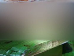 Gegerkan Warga Seorang Pelajar Ditemukan Warga Bersimbah Darah Tergeletak di Pinggir Jalan Diduga Dibunuh