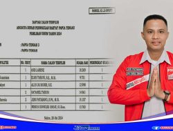 KPU Papua Tengah Tetapkan 45 Calon Anggota DPR Provinsi Terpilih, Jemi Patabang Cetak Sejarah Baru di DPR Provinsi Papua Tengah