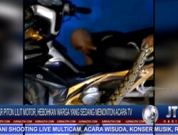 Berita Video : Ular Piton Lilit Motor, Hebohkan Warga Yang Sedang Menonton Acara Tv
