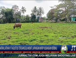 Berita Video : Lapangan Bola di Buntu Masakke Sangalla’ Tak Terurus, Warga Minta Pemkab Lakukan Perbaikan