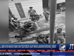 Berita Video : Viral..!! Babi Hutan Masuk Rumah Hebohkan Warga Lakawan Enrekang