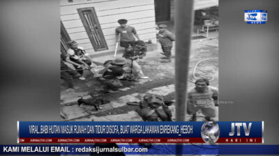 Berita Video : Viral..!! Babi Hutan Masuk Rumah Hebohkan Warga Lakawan Enrekang