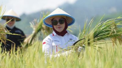 Ketua DPRD Sulbar Sambut Hangat Rencana Kunjungan Jokowi ke Sulbar