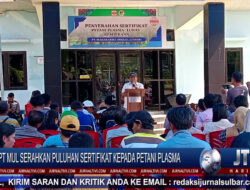 Berita Video : PT. MUL Serahkan Puluhan Sertifikat Kepada Petani Plasma