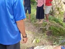 Istri Temukan Suami Tewas di Dalam Kebun Sawit Menangis Histeris Gegerkan Warga
