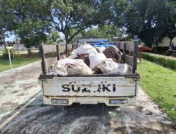 Curi TBS Milik PT MUL 3 Warga di Tommo Ditangkap Polisi
