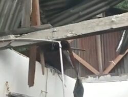 Diterjang Angin Kencang 1 Rumah di Pulau Karampuang Ditimpa Pohon Tumbang 1 Korban Luka