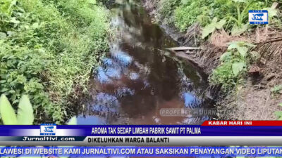 Berita Video : Aroma Tak Sedap Limbah Pabrik Sawit PT. Palma, Dikeluhkan Warga Balanti