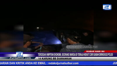Berita Video : Terdesak Himpitan Ekonomi, Seorang Pemuda di Toraja Nekat Curi Gabah Diringkus Polisi, 14 Karung BB Diamankan